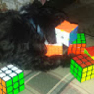 Meet your Posher, Lucas